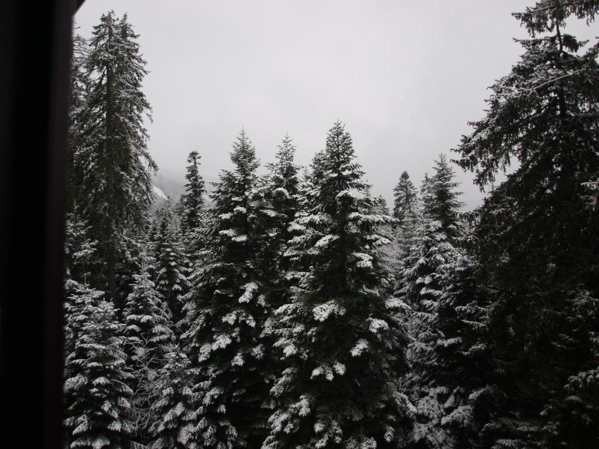 Borovets Forest View Exterior photo
