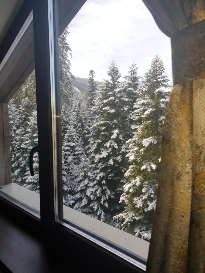 Borovets Forest View Exterior photo